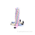 Morsure d'interaction molaire coton corde chien mâcher des jouets